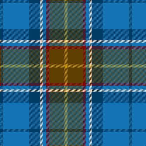 DB/10 B86 DB36 LR8 B12 DR10 T50 DY/10 tartan Tartan detail