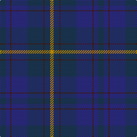 Tartan detail