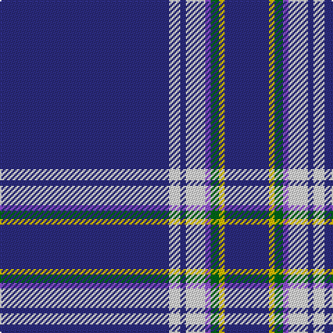 Tartan detail