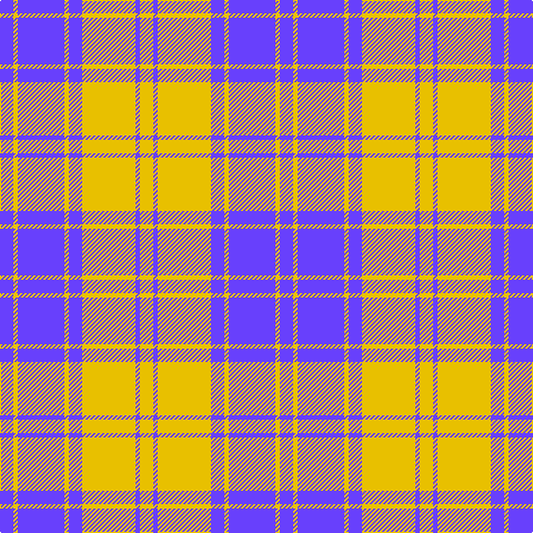 P/12 Y4 P42 Y4 P12 Y48 P4 Y/12 tartan Tartan detail