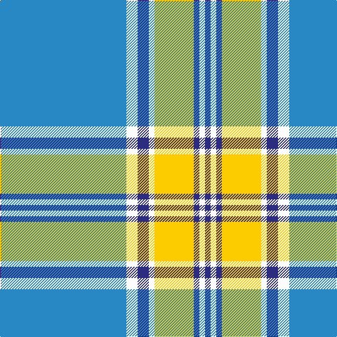B/180 W16 DB16 W8 Y56 DB8 W8 DB/8 tartan Tartan detail