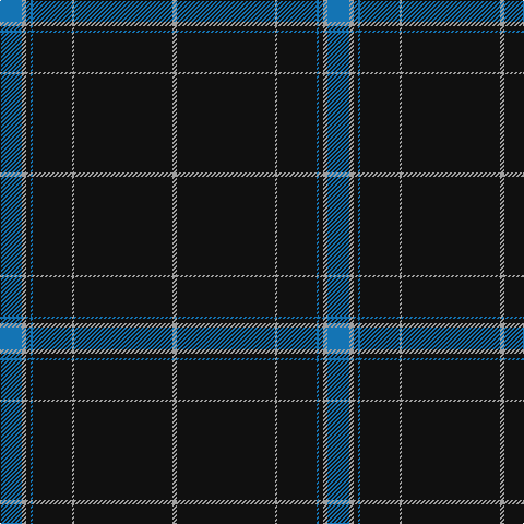 Tartan detail