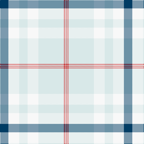 DB/28 W36 LN28 W36 LN85 R3 LN3 R/3 tartan Tartan detail