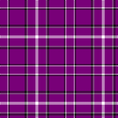 P/30 W4 K6 P60 K8 N6 P30 W/12 tartan Tartan detail
