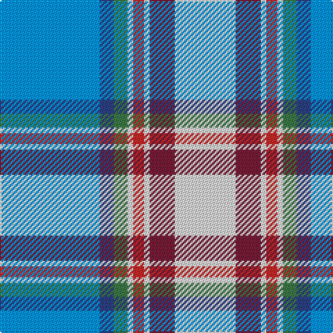 B/72 Ba10 G10 LN4 R8 LN4 DR18 LN/44 tartan Tartan detail