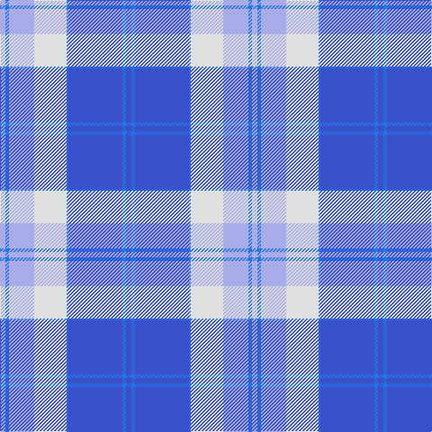 Ba/6 B4 Ba60 B2 LN36 LP28 B4 LP/6 tartan Tartan detail