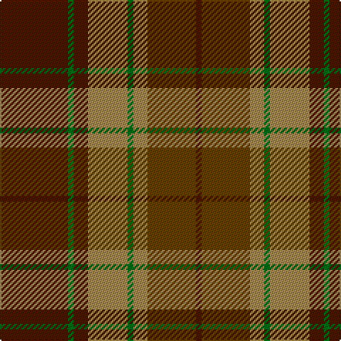 DR/48 G4 DR10 LT28 G4 LT10 T34 DR/4 tartan Tartan detail