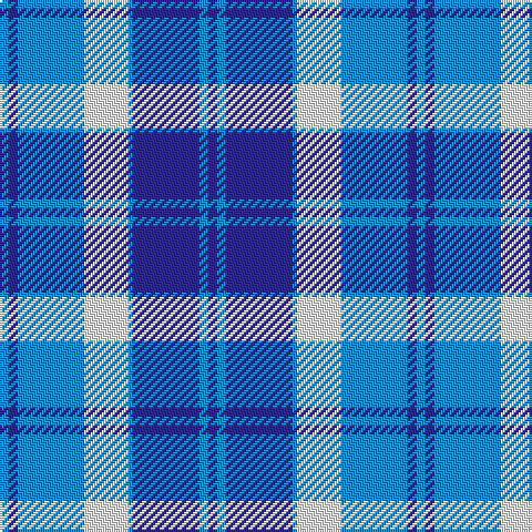 Tartan detail