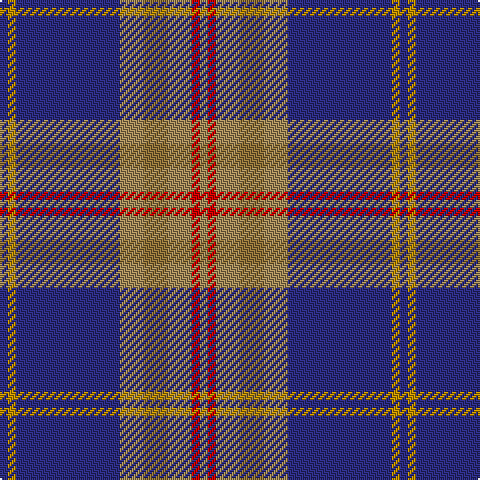 Tartan detail