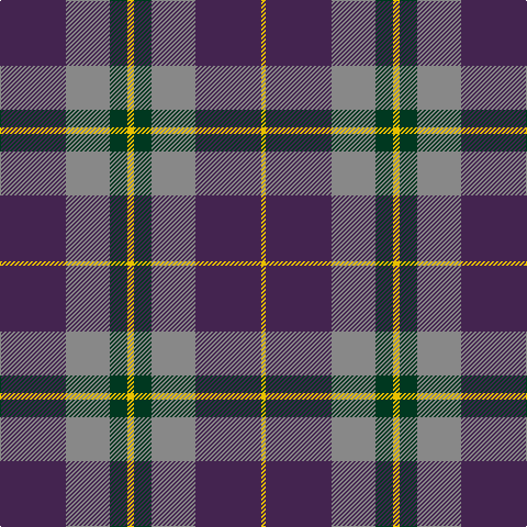 DP/60 N40 DG16 Y6 DG16 N40 DP60 Y/4 tartan Tartan detail