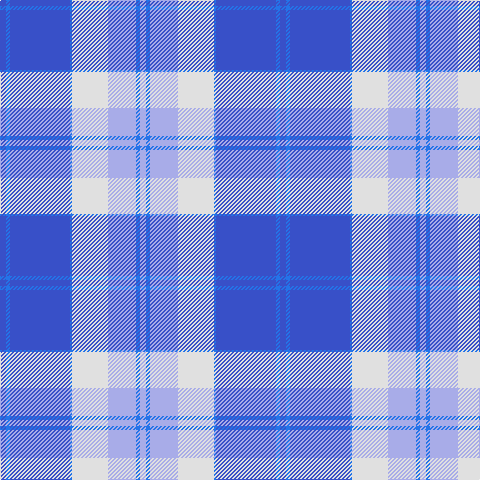 Tartan detail