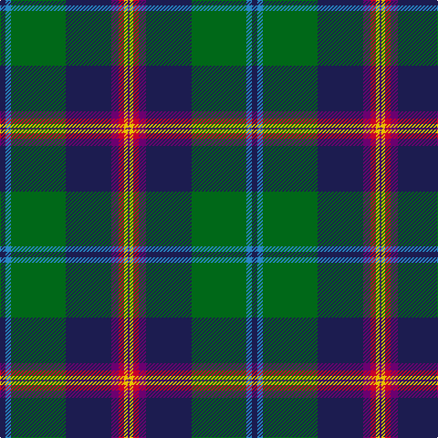 DB/6 B6 G60 DB50 P8 Ra6 Y4 P/2 tartan Tartan detail