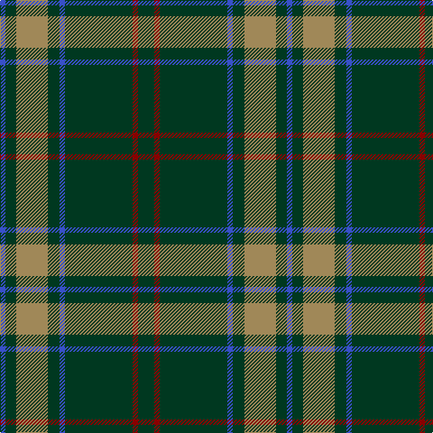 Tartan detail
