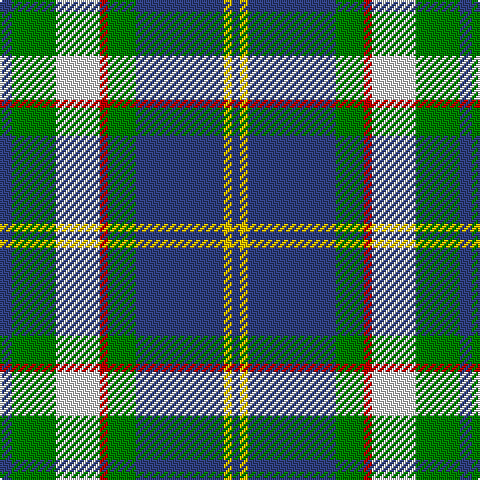 B/6 G22 LN22 R4 G14 B44 Y4 B/4 tartan Tartan detail