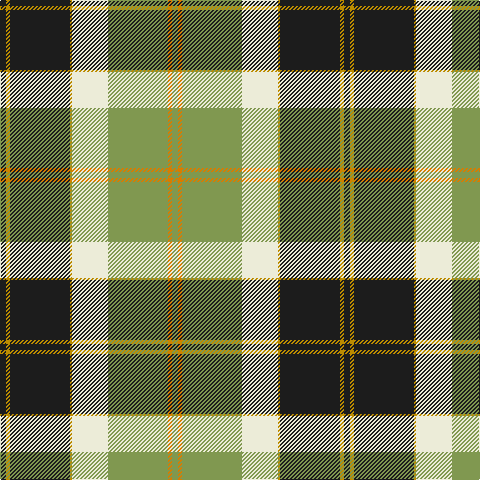 Tartan detail