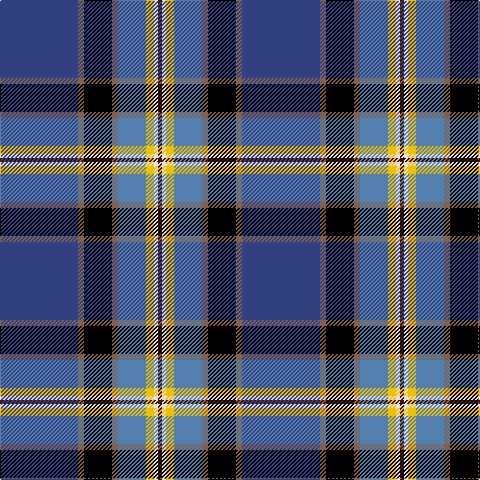 Tartan detail
