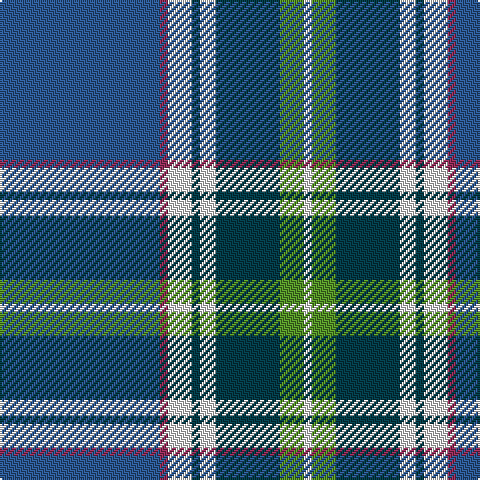 Tartan detail