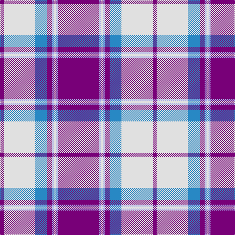 P/8 LN64 B24 P10 LP4 LN4 LP4 P/84 tartan Tartan detail