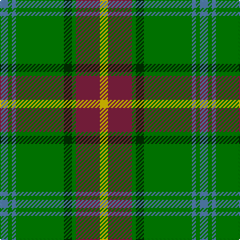 B/8 G4 B4 G48 DG8 G4 DR24 Y/8 tartan Tartan detail