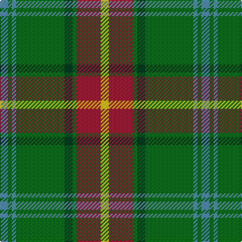 B/8 G4 B4 G48 DG8 G4 DR24 Y/8 tartan Tartan detail