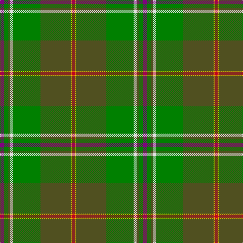 Tartan detail