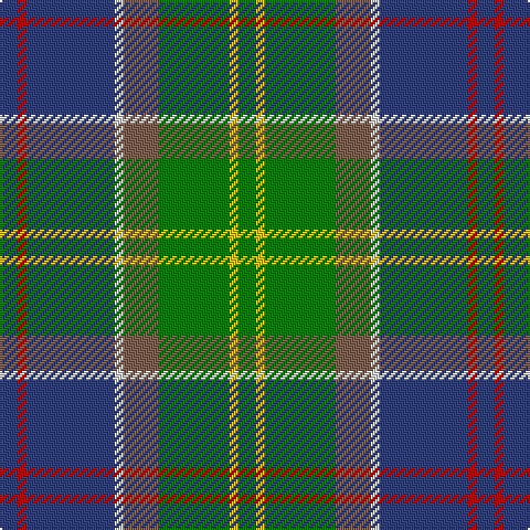 Tartan detail