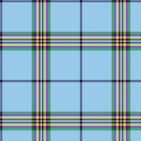 Tartan detail