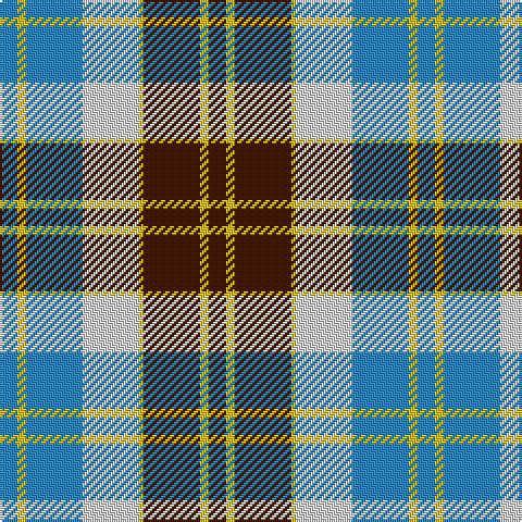 Tartan detail