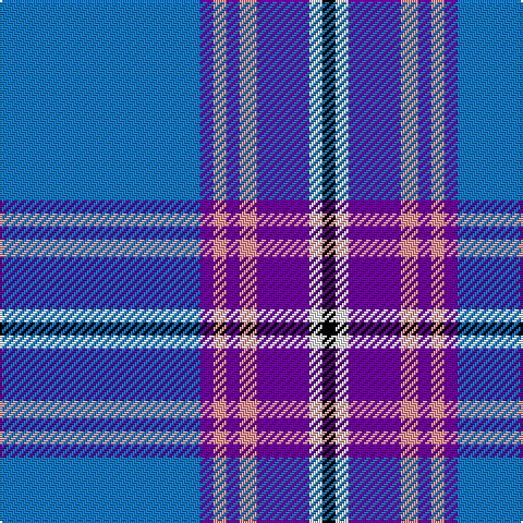Tartan detail