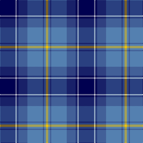 DB/52 LN4 DB6 B30 Ba52 B4 Ba6 Y/8 tartan Tartan detail