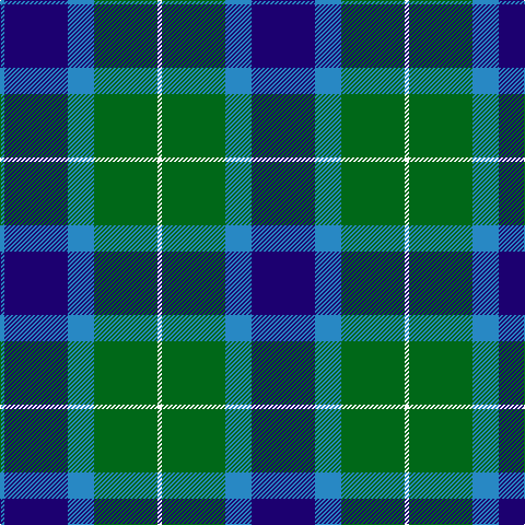 B/4 DB58 B24 G58 W4 G58 B24 DB/58 tartan Tartan detail