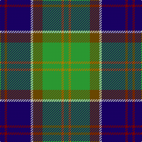 DB/8 DR4 DB40 LN4 T16 G32 DY4 G/8 tartan Tartan detail