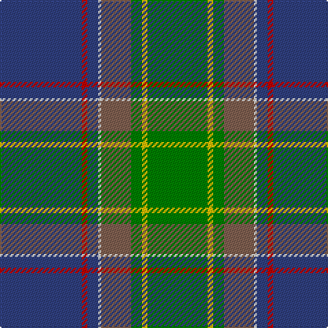 B/60 R4 B8 LN2 LT22 G8 Y4 G/44 tartan Tartan detail