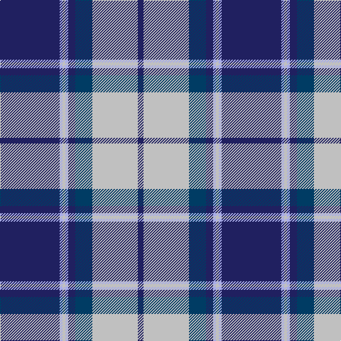 Tartan detail