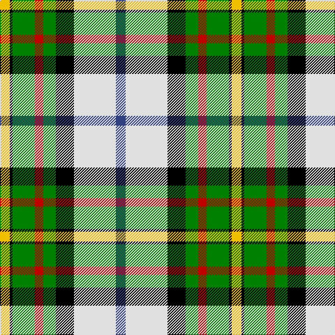 B/14 LN60 K26 G18 R12 G32 K4 Y/14 tartan Tartan detail