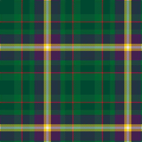 Tartan detail