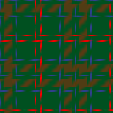B/6 G12 T35 G13 B6 G75 R6 G/18 tartan Tartan detail