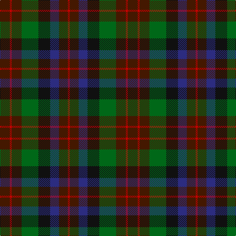 DR/20 R4 DR20 G34 K24 DB18 DR18 R/4 tartan Tartan detail