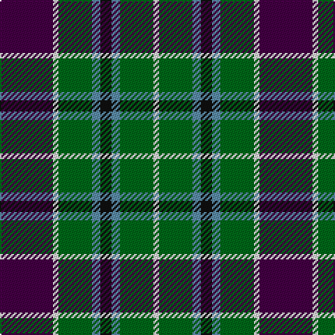 DP/38 LN4 G24 B6 K8 B6 G24 LN/4 tartan Tartan detail