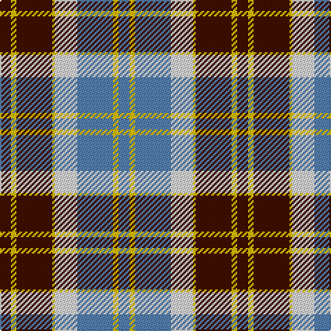 DR/8 Y4 DR26 Y2 LN16 B26 Y4 B/8 tartan Tartan detail