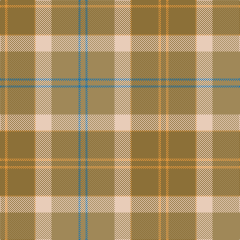 Tartan detail