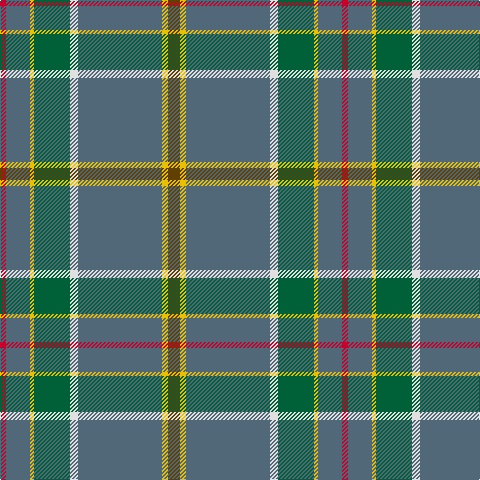 Tartan detail