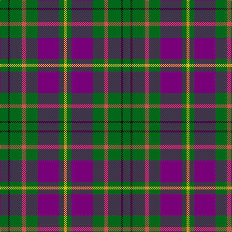 G/16 K4 G26 DO8 G24 P44 G10 Y/6 tartan Tartan detail