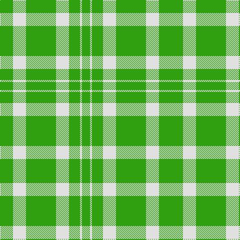 Tartan detail