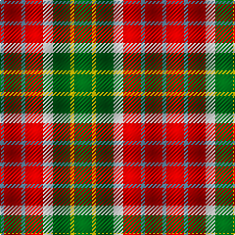 Tartan detail