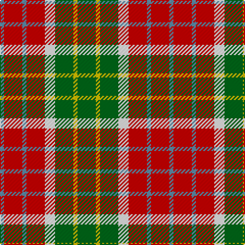 Tartan detail
