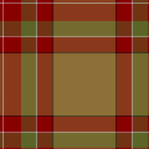 DR/8 N4 DR56 G48 N4 DR48 K4 LT/200 tartan Tartan detail