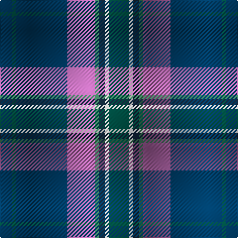 Tartan detail