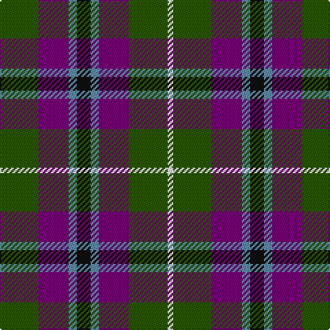 G/28 P22 B6 K10 B6 P22 G28 W/4 tartan Tartan detail