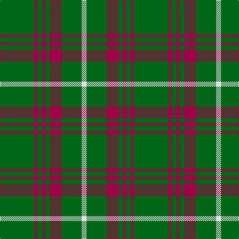 G/68 R8 G8 R8 G8 R24 G40 LN/10 tartan Tartan detail